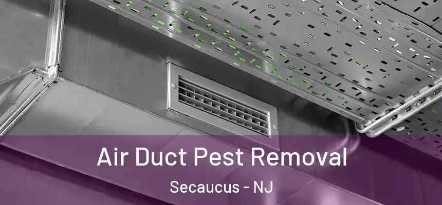 Air Duct Pest Removal Secaucus - NJ