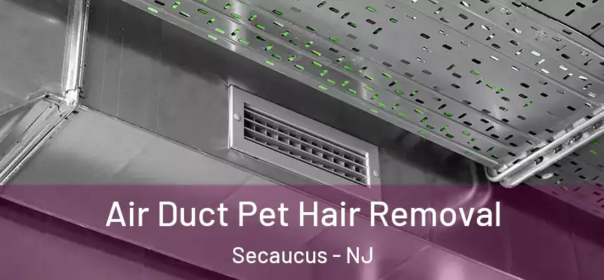  Air Duct Pet Hair Removal Secaucus - NJ