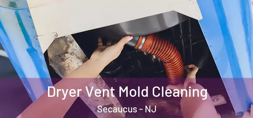  Dryer Vent Mold Cleaning Secaucus - NJ