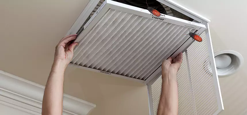 Preventive Cockroach-Proofing for Ducts in Secaucus