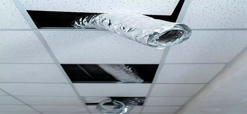 Our Air Duct Pet Hair Removal Services in Secaucus, NJ