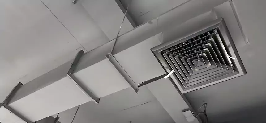 Our Rodent Droppings In Vents Services in Secaucus, NJ