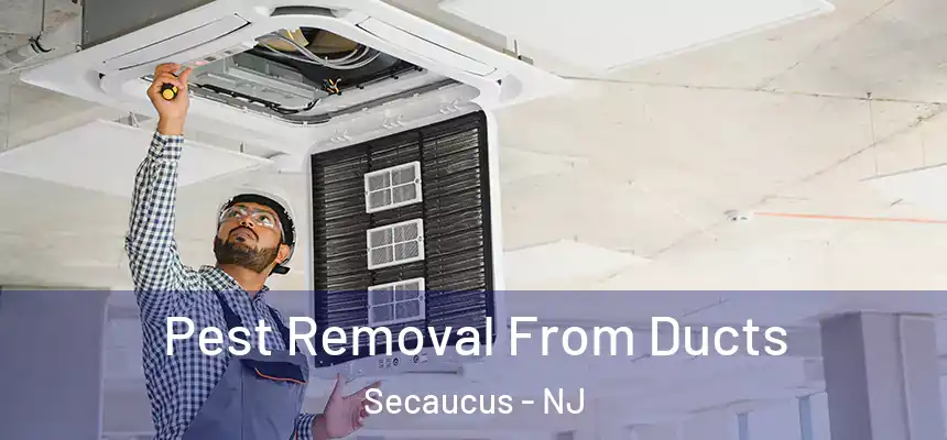Pest Removal From Ducts Secaucus - NJ