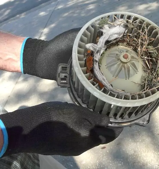 About Air Duct Rat Removal in Secaucus, NJ