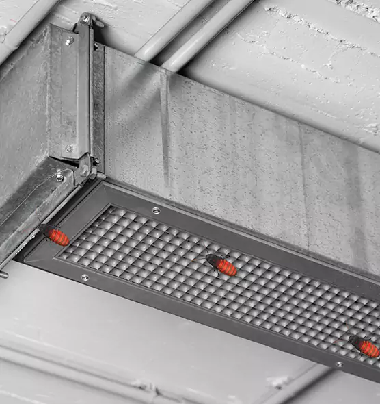 Affordable Insect Removal from Air Ducts in Secaucus, NJ