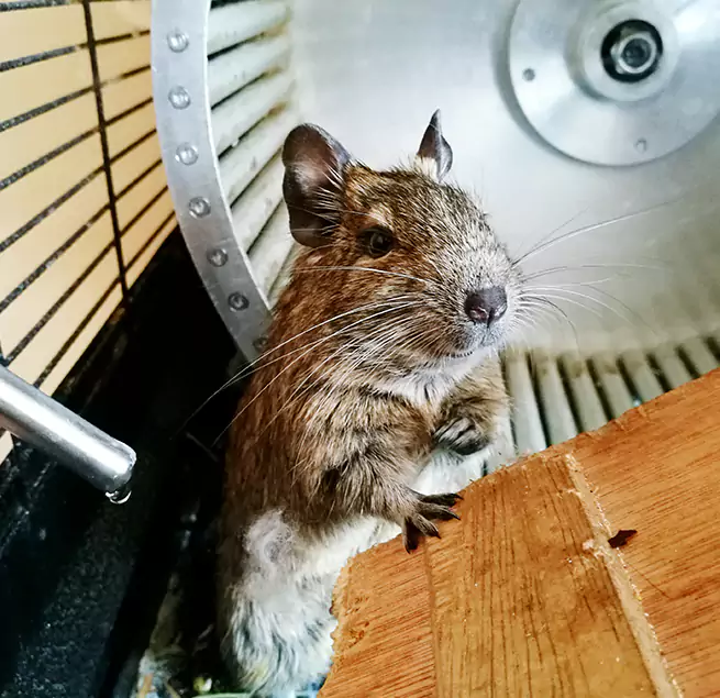 Why Homeowners & Businesses Trust Us Secaucus, NJ?